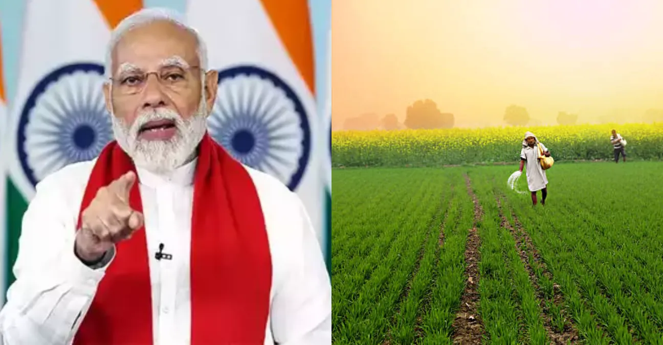 PM Kisan 3 PM Kisan